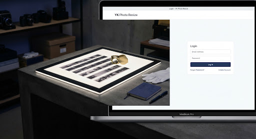 Professional curator light table